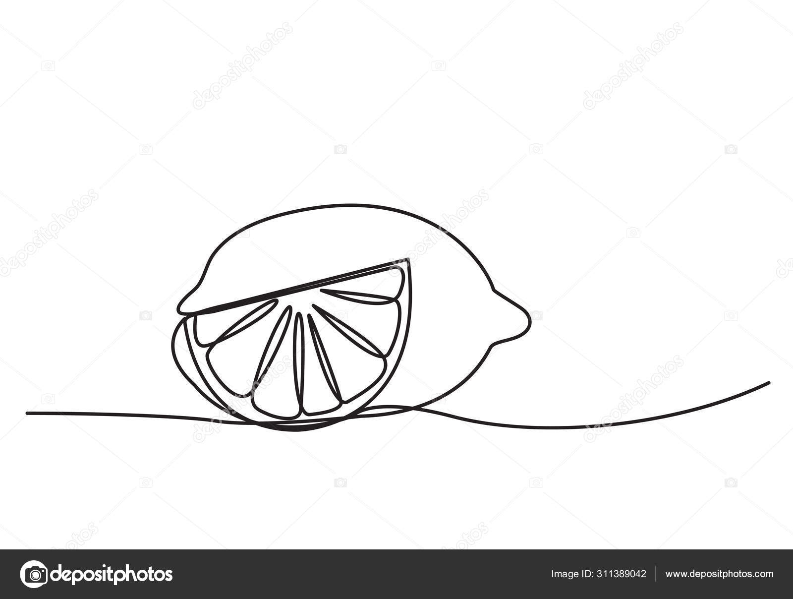 Continuous One Line Drawing Lemon Lime Fruits Stock Vector by ©annmaneeta  311389042
